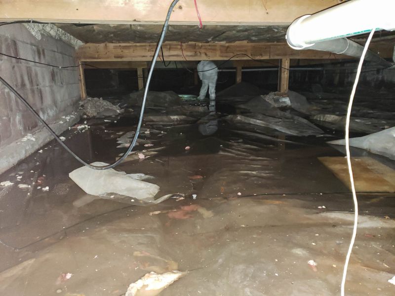Finished Crawlspace Transformation